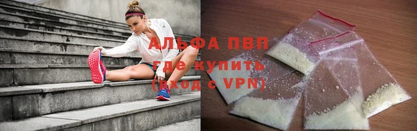 стаф Балахна