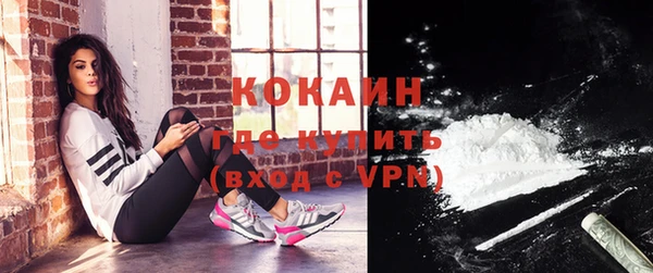 стаф Балахна