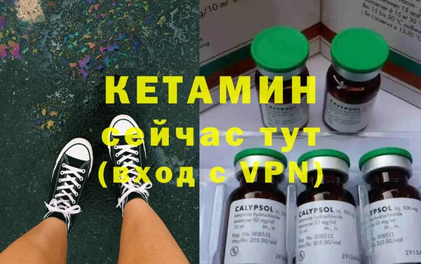 стаф Балахна